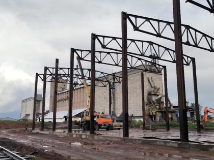 До 2026 года в Красноярском крае намерены наладить переработку всего местного рапса