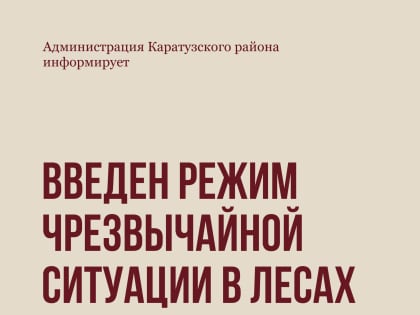 Введен режим чрезвычайной ситуации в лесах Красноярского края
