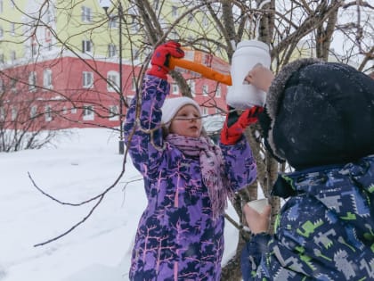 1 февраля «Музей Норильска» приглашает горожан угостить пернатых