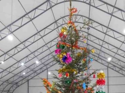 Крытый каток 