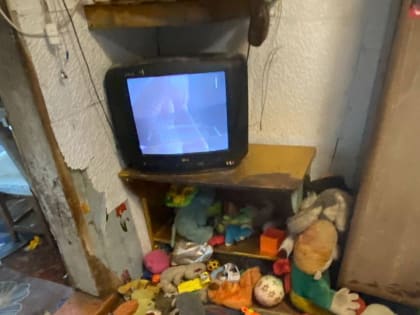 В Красноярском крае полиция изъяла из семьи детей, которые жили в антисанитарии