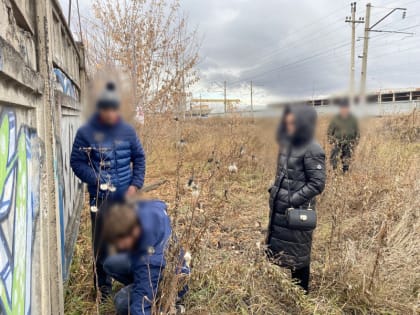 Завершено расследование 14 эпизодов дела о покушении на сбыт наркотиков
