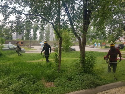 В Красноярске за неделю выкосили траву на площади 1,5 млн квадратных метров