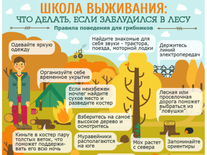 Правила поведения для грибников.