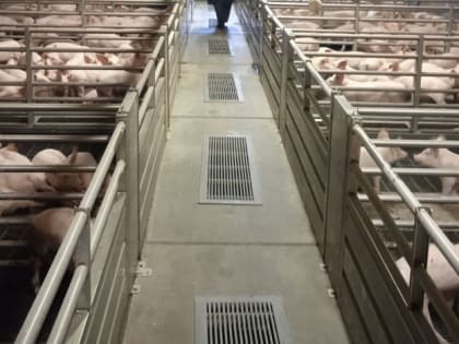 Красноярский край вывозит "живую" продукцию в 45 регионов РФ