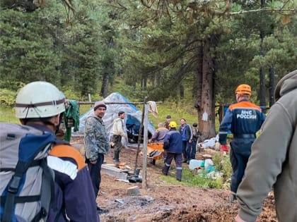 Стали известны подробности нападения медведя на сборщика орехов в Красноярском крае