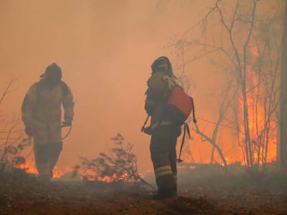 Лесные пожары: в крае действует режим ЧС