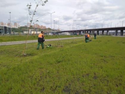 Города и районы Красноярского края получат технику для содержания объектов благоустройства