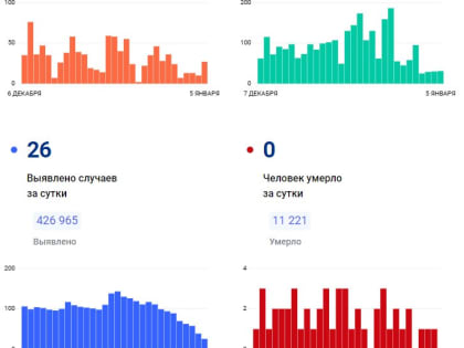 За 4 января 26 красноярцев заболели COVID-19, выздоровел 31 человек
