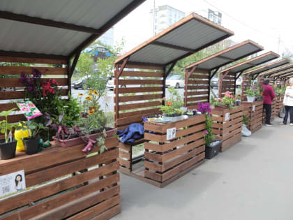 В Красноярске для повышения привлекательности ярмарочных палаток разработали рекомендации