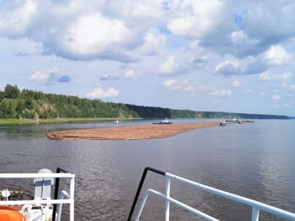 В Дудинку прибыл лесоплот с круглым лесом