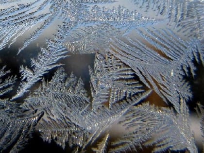 Управление Роспотребнадзора напомнило меры профилактики обморожения