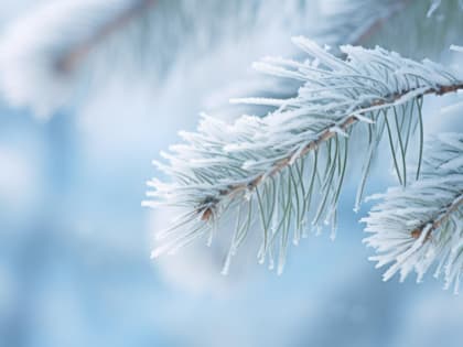 В Красноярске на следующей неделе потеплеет почти до 0 градусов