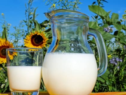 В Красноярском крае фермеры получат гранты на производство молочной и мясной продукции