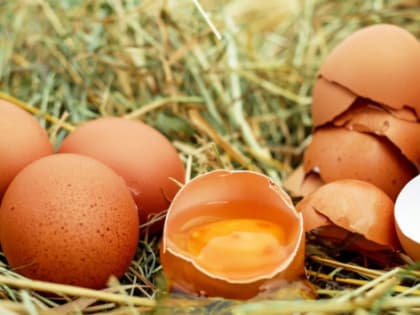 В Красноярском крае из-за дефицита яиц растут цены