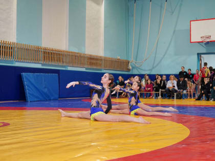 В Дудинке прошли ежегодные соревнования по акробатике