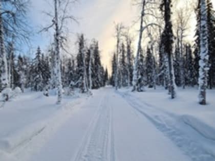 Уважаемые жители Енисейска и Енисейского района! Зимник Енисейск - Ярцево - Бор с 19 по 134 километр (нижний зимник) открыт!