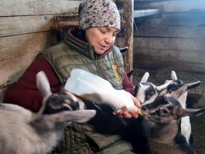 В Минсельхозе Красноярского края назвали количество занятых в отрасли