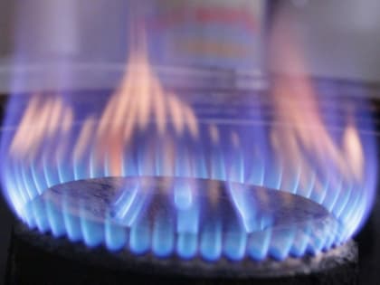 Котюков обсудил с Шульгиновым газификацию Красноярского края