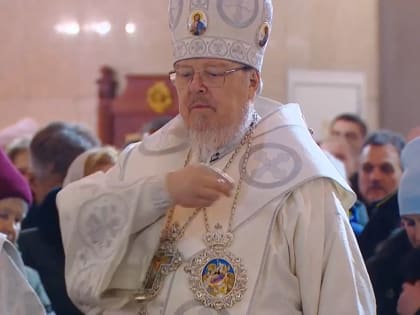 Владыка Пантелеимон: Рождество, это глобальный путь человечества к светлой жизни