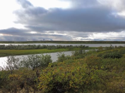 Владимир Баринов: «За год многое изменилось»