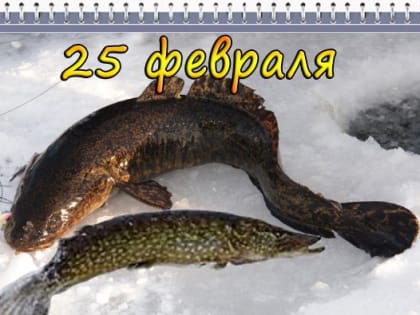 Наш календарь