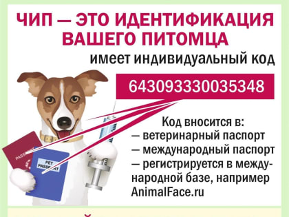 Чипирование домашних животных