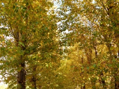 На новой неделе красноярцам обещают переменчивую погоду