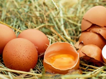 В Красноярском крае куриные яйца за год подорожали на 25%