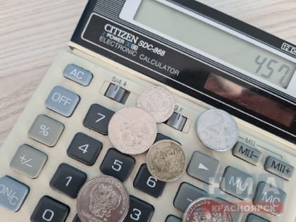 Красноярский предприниматель утаил от налоговой 47,6 млн рублей