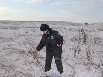 У собственников начинают изымать неиспользуемые земельные участки
