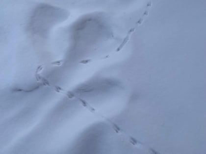 На Рождество в Красноярском крае будет до минус 55 градусов, а то и ниже