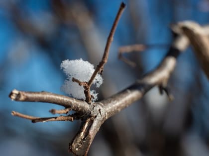 В Красноярске на следующей неделе потеплеет до +10 градусов