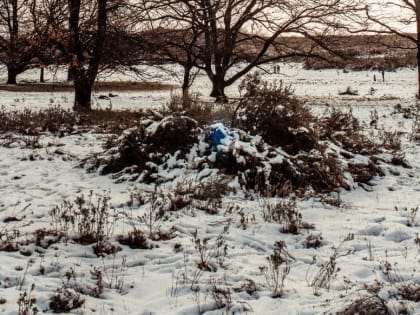 В Красноярске на следующей неделе температура будет колебаться от -10 до +3