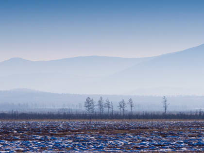 В рамках программ «Дальневосточный гектар» и «Гектар Арктики» упрощён порядок предоставления земельных участков