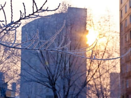 Новогодние каникулы в Красноярске закончатся оттепелью