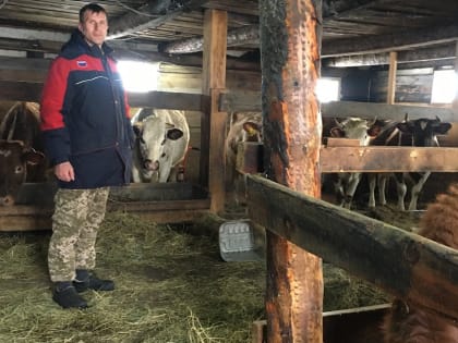 1,4 млрд рублей будет направлено на социальные контракты жителям края