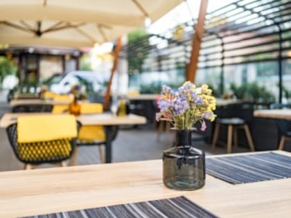 В России поддержали введение минимальной цены на пиво и сидр