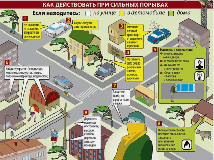 Правила поведения при сильном ветре 22.01.2025г.
