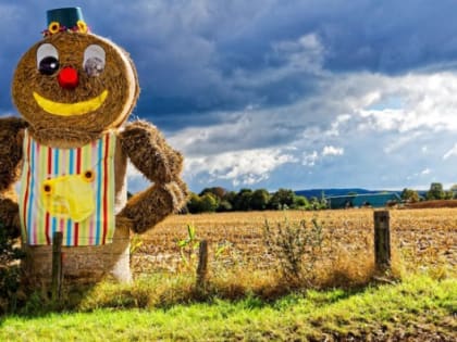 В Красноярском крае аграриям рассказали об обновленных мерах поддержки