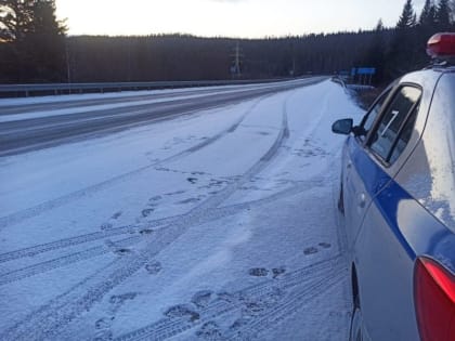 Дорожные полицейские по краю напомнили о мерах безопасности на трассе в мороз