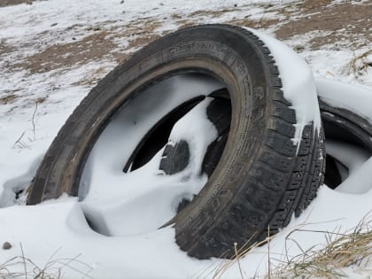 В прошлом году в Красноярске ликвидировали 578 стихийных свалок