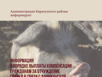 О порядке выплаты компенсации гражданам за отчуждение свиней в связи с АЧС на территории Каратузского района.