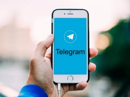 Котюков пообещал отреагировать на поступившие в Telegram жалобы красноярцев