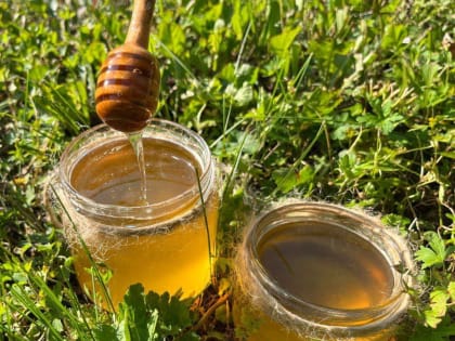 Сибирский мёд: экспортный рост и популярность на международном рынке