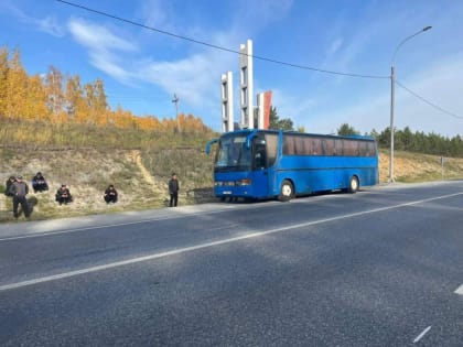 В Ачинске полицейские задержали автобус с пятью нелегалами