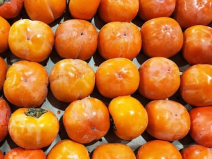 Прямые поставки овощей и фруктов из-за рубежа в Красноярский край увеличились втрое