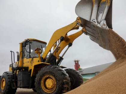 Хлеборобы Красноярского края собрали 2,6 миллиона тонн зерна