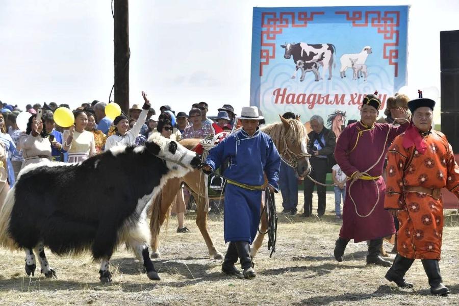 Наадым национальный праздник тувинцев