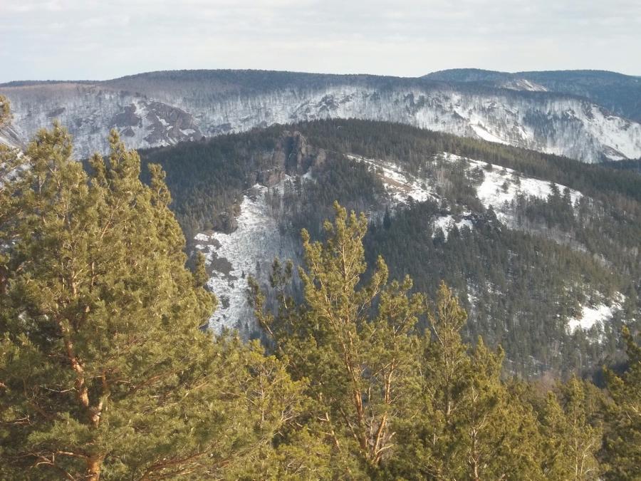 Красноярский прогноз. Красноярск климат. Красноярск Сибирский.